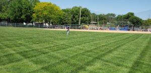 Soccer Field image 1