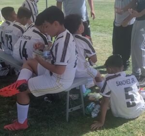 Soccer Field image 4