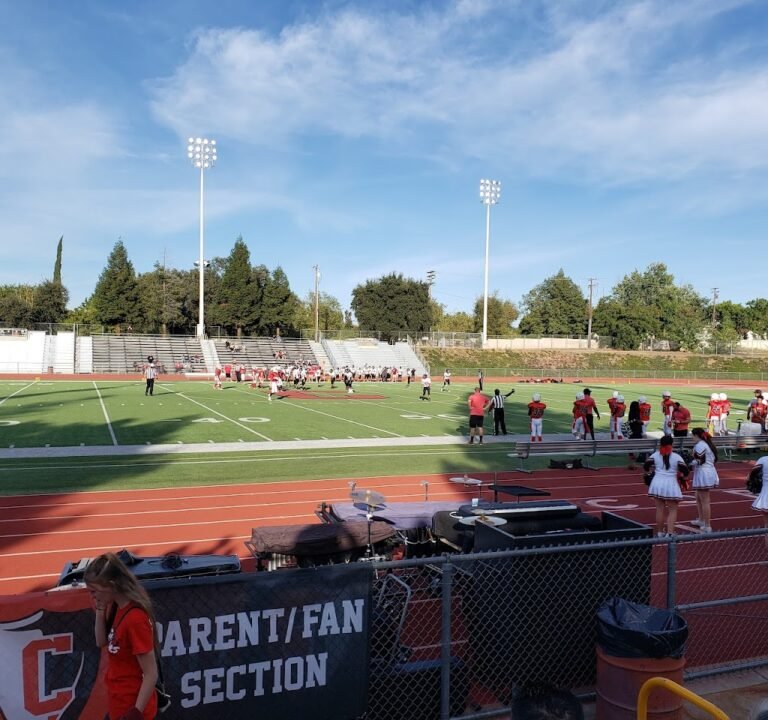 Soccer Field image 2