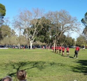 Soccer Field image 3