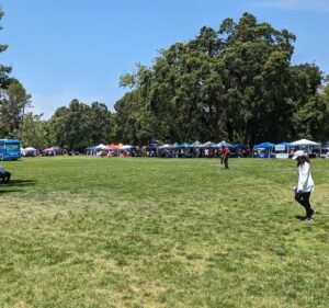 Soccer Field image 2