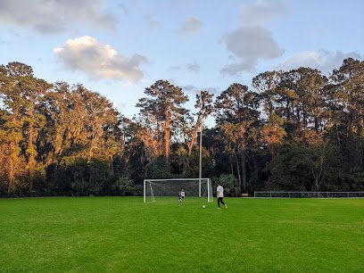 Soccer Field image 1