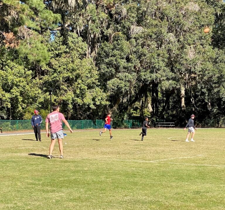 Soccer Field image 2