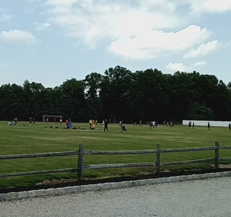 Soccer Field image 3