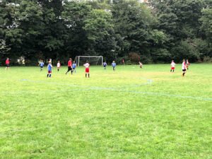 Soccer Field image 1