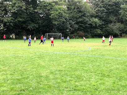 Soccer Field image 1