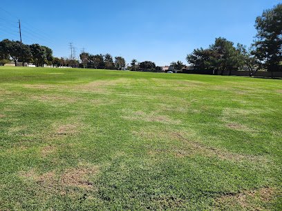 Soccer Field image 1