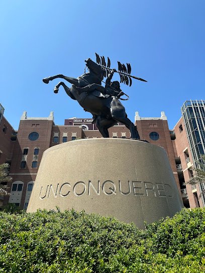 Soccer Field image 1