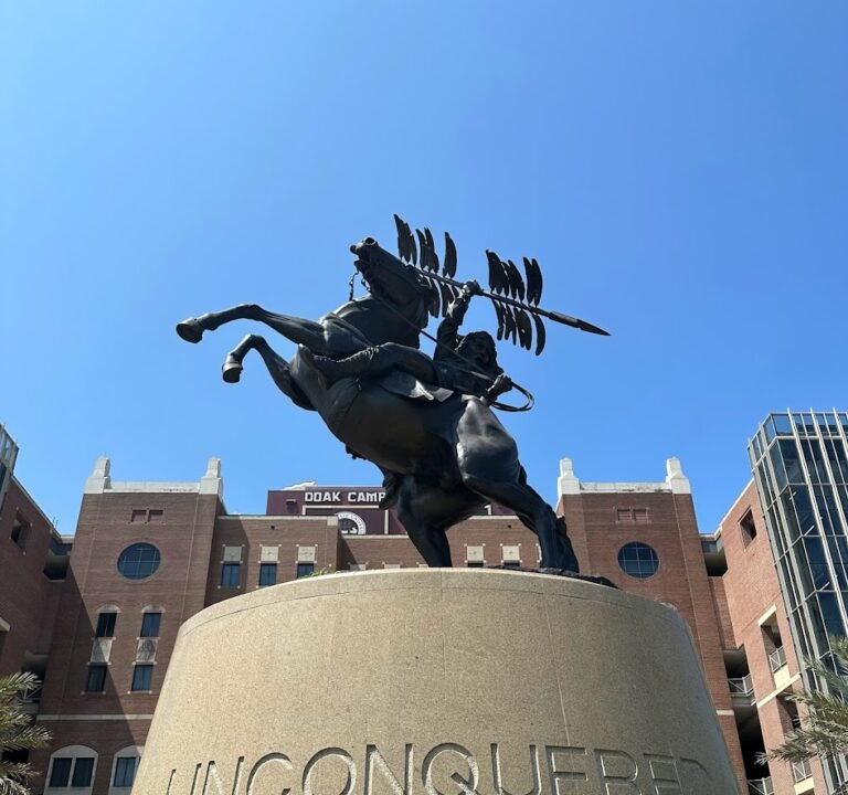 Soccer Field image 2