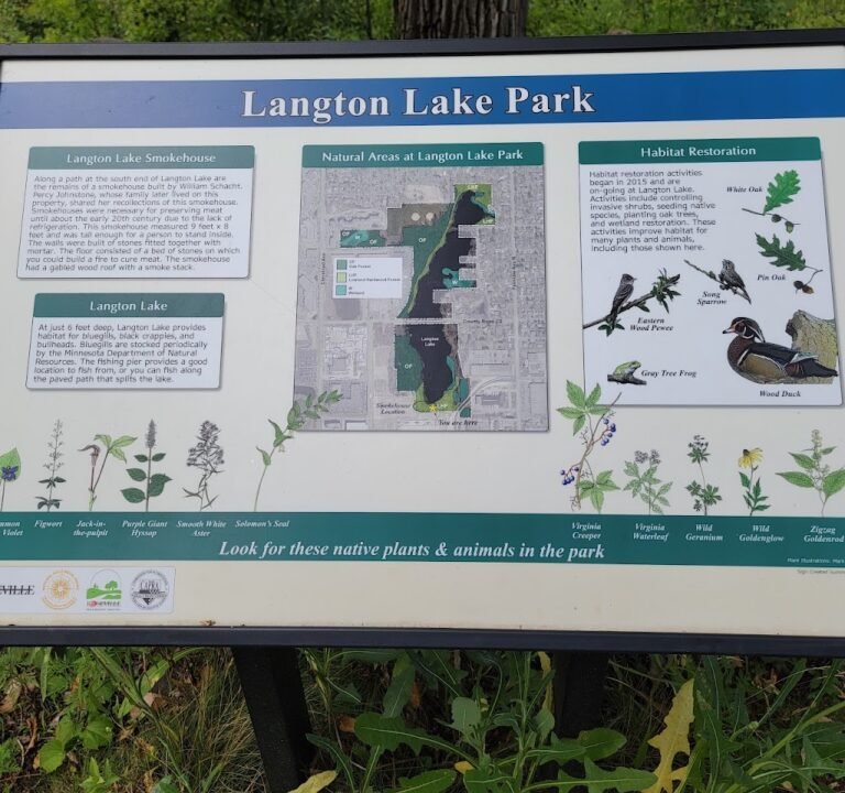 Soccer Field image 3