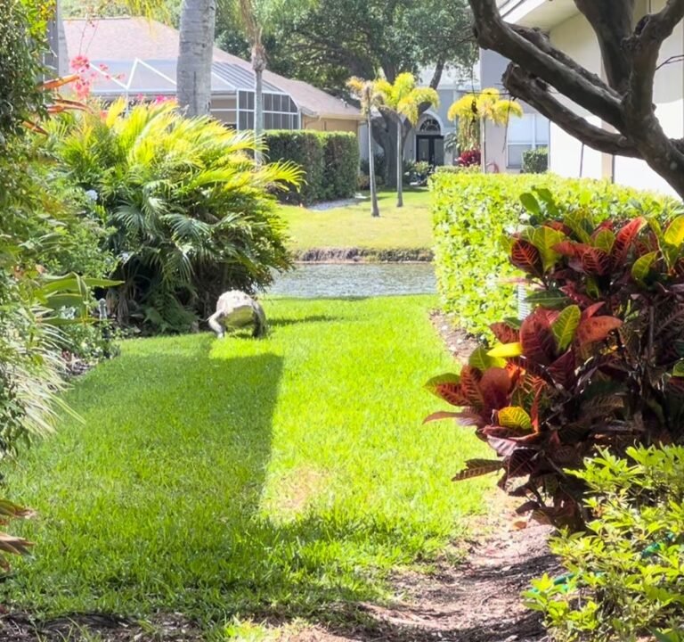 Soccer Field image 4