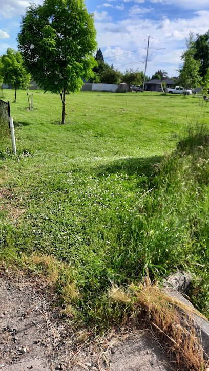 Soccer Field image 1