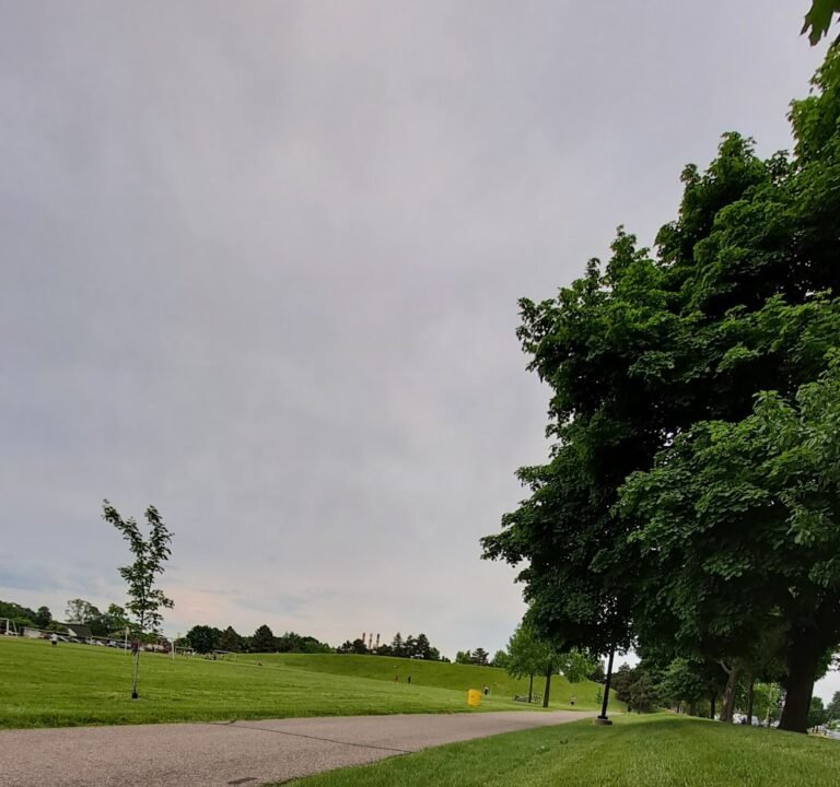 Soccer Field image 2