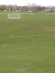 Soccer Field image 1