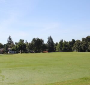Soccer Field image 2