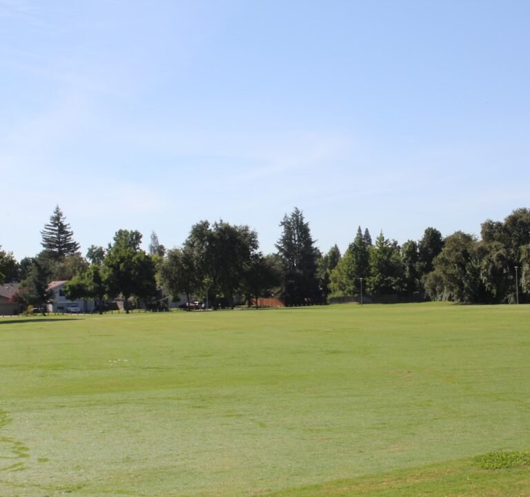 Soccer Field image 2
