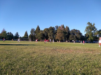 Soccer Field image 1