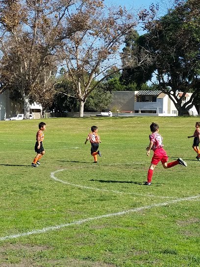 Soccer Field image 1