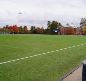 Soccer Field image 2
