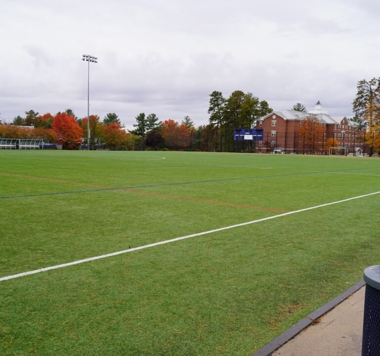 Soccer Field image 2