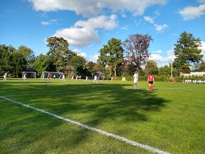 Soccer Field image 1