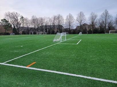 Soccer Field image 1