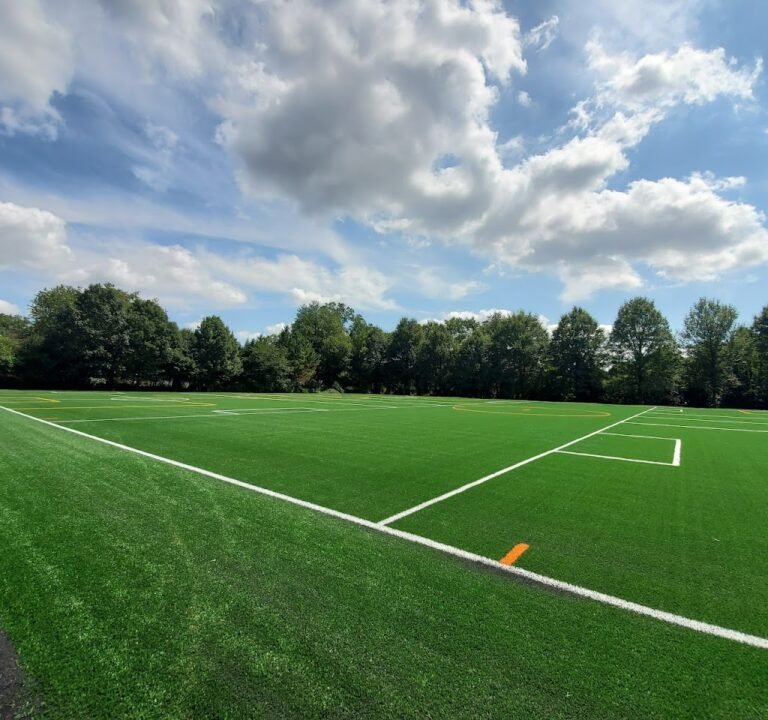 Soccer Field image 2