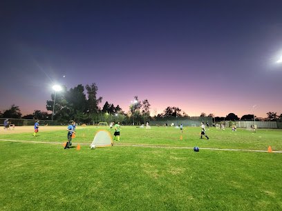 Soccer Field image 1