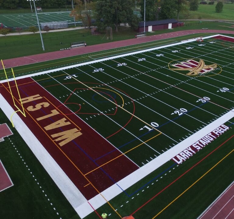 Soccer Field image 2