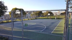 Soccer Field image 1
