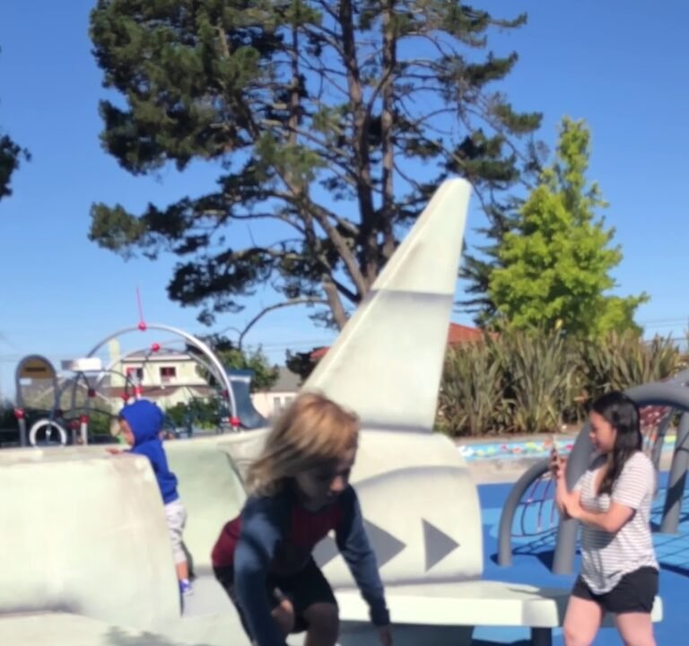 Soccer Field image 4