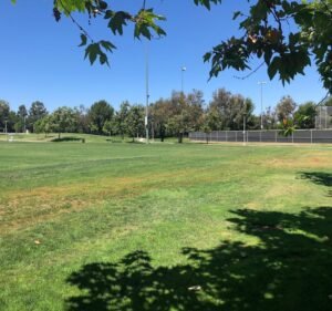 Soccer Field image 2