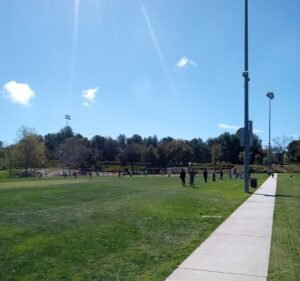 Soccer Field image 3