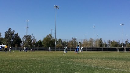 Soccer Field image 1