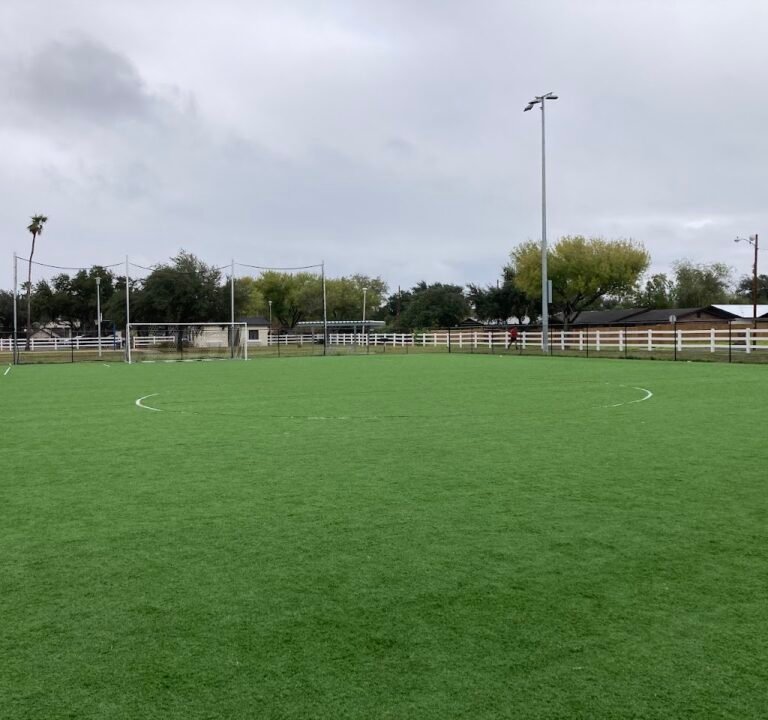 Soccer Field image 2