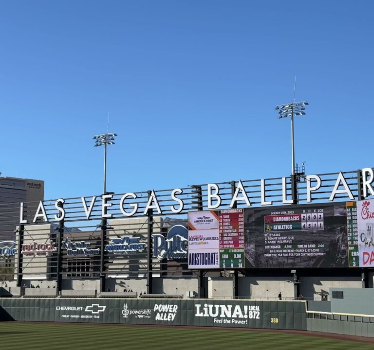 Soccer Field image 3