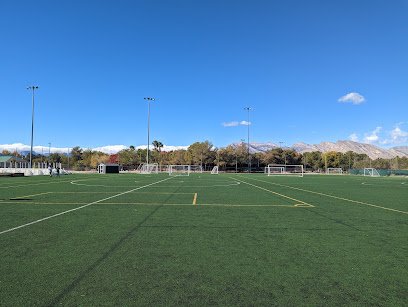 Soccer Field image 1