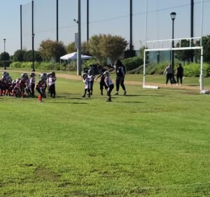 Soccer Field image 4