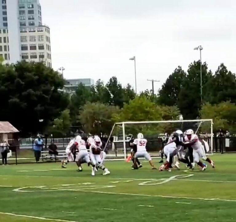 Soccer Field image 4