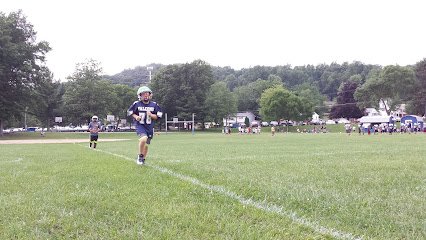 Soccer Field image 1