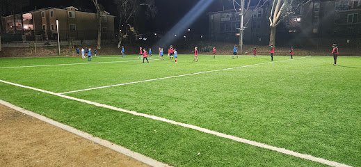 Soccer Field image 1