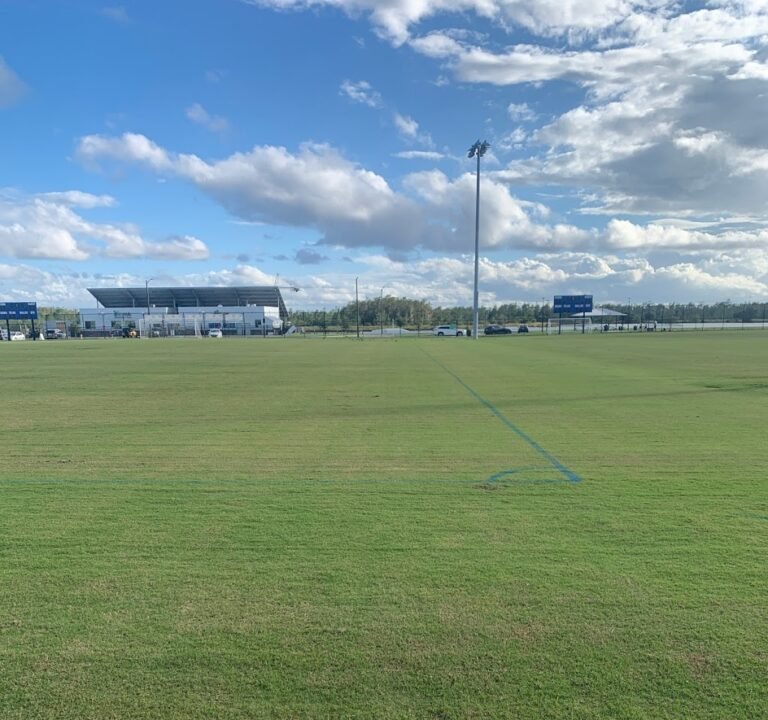 Soccer Field image 3