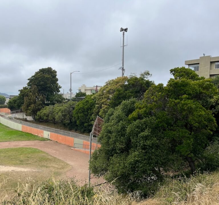 Soccer Field image 2