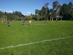 Soccer Field image 1