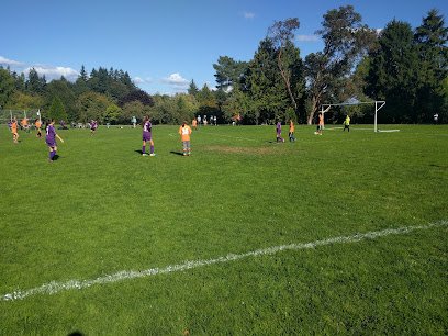 Soccer Field image 1