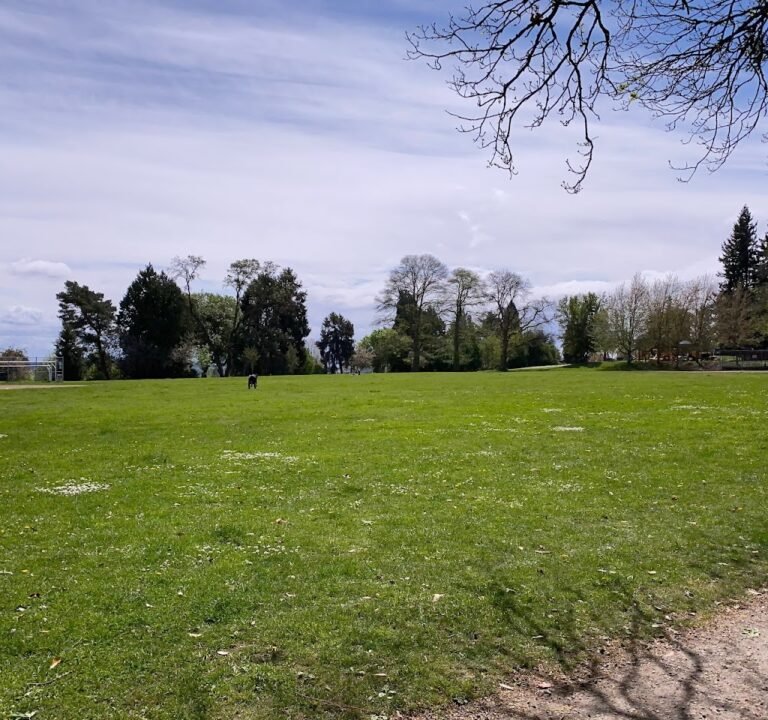 Soccer Field image 2