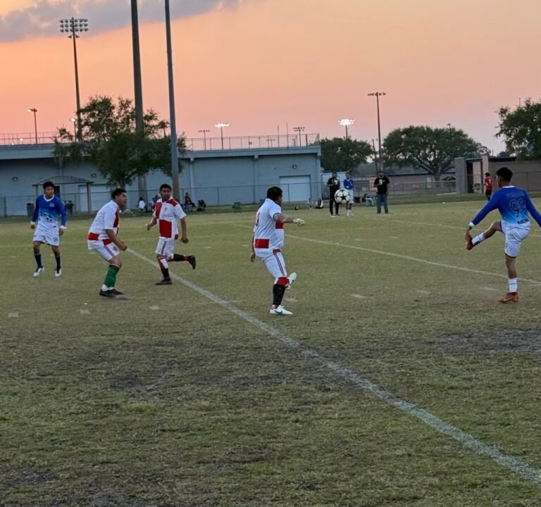 Soccer Field image 3