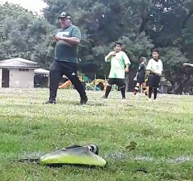 Soccer Field image 4