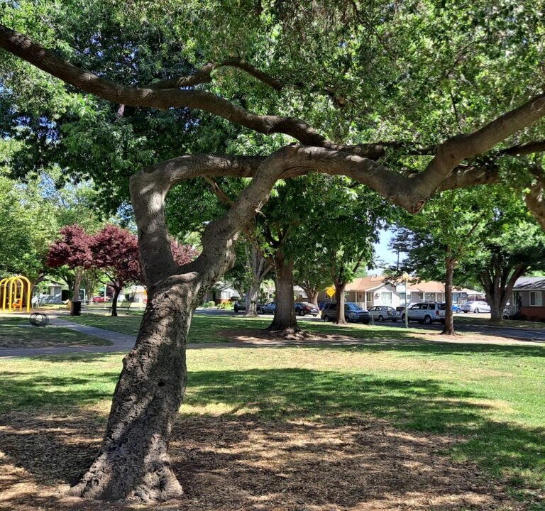 Soccer Field image 2