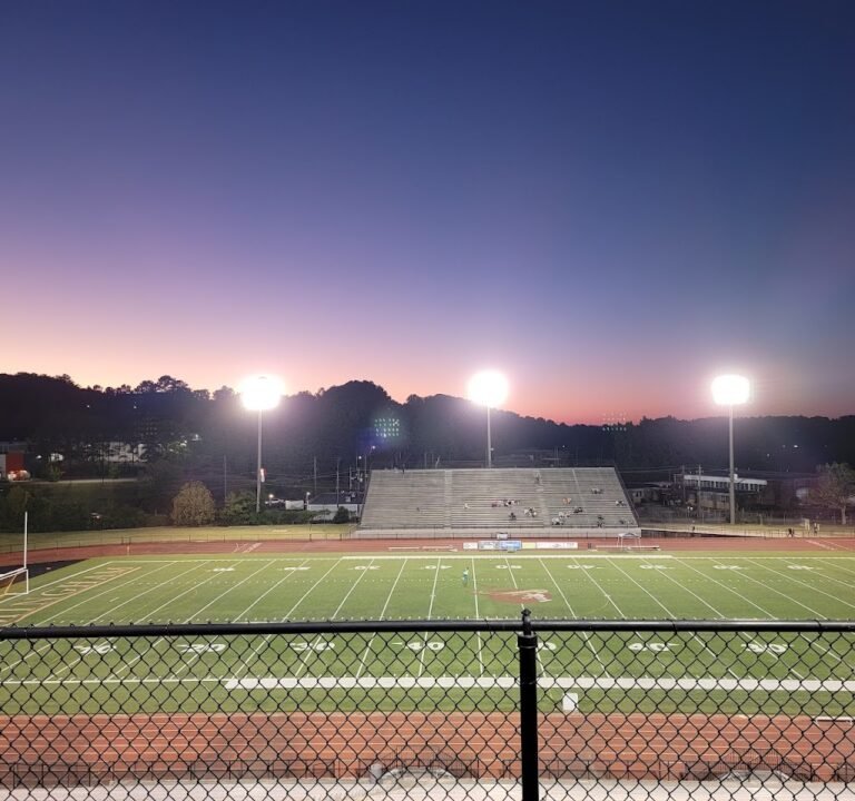 Soccer Field image 2